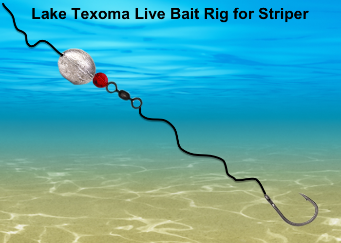 Lake Texoma Striper Fishing Techniques With Live Bait