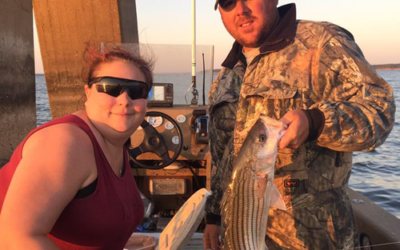 Lake Texoma Striper Fishing Techniques With Live Bait